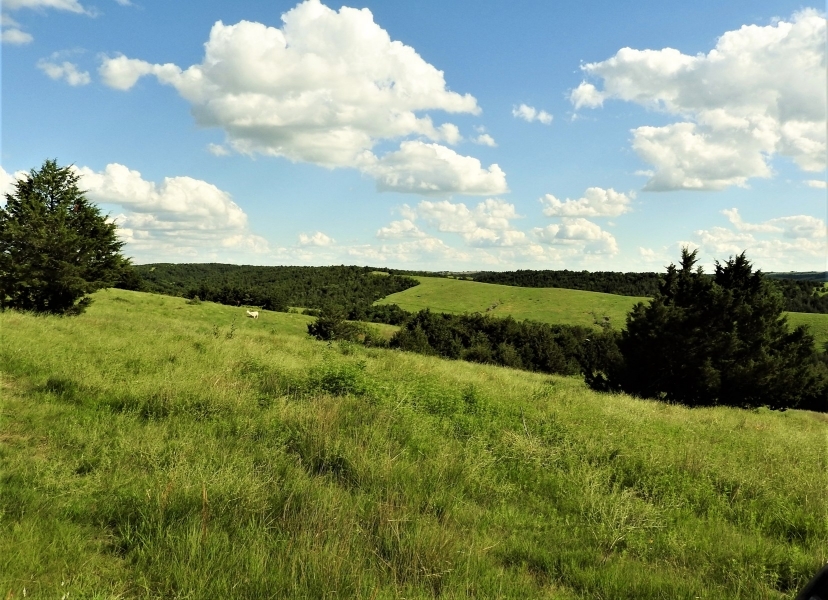 Premier Hunting &nbsp; Recreational Land For Sale in Central NE featured image