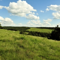 Premier Hunting &nbsp; Recreational Land For Sale in Central NE