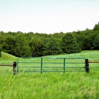 Premier Hunting &nbsp; Recreational Land For Sale in Central NE images 2