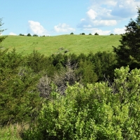 Premier Hunting &nbsp; Recreational Land For Sale in Central NE images 3