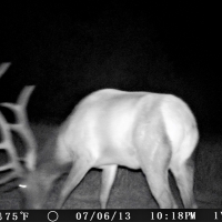 Premier Hunting &nbsp; Recreational Land For Sale in Central NE images 5