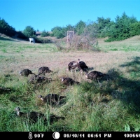 Premier Hunting &nbsp; Recreational Land For Sale in Central NE images 6