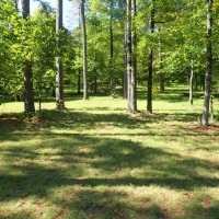 Hunting Club &nbsp; Recreational Land For Sale in Northwest AR images 2