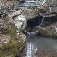 Hunting Club &nbsp; Recreational Land For Sale in Northwest AR images 6