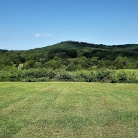 Pristine Hunting Land For Sale in Southwest OH images 2