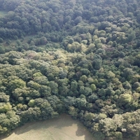 Pristine Hunting Land For Sale in Southwest OH images 3