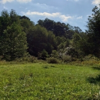Pristine Hunting Land For Sale in Southwest OH images 4