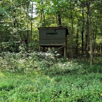 Pristine Hunting Land For Sale in Southwest OH images 5