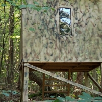 Pristine Hunting Land For Sale in Southwest OH images 6