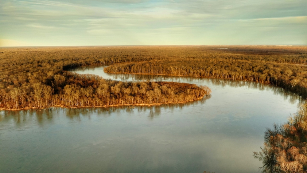 Mallard Acres North featured image