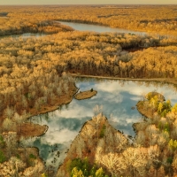 Mallard Acres North images 3