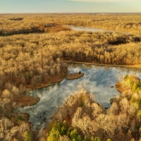 Mallard Acres North images 4
