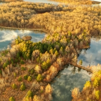 Mallard Acres North images 5