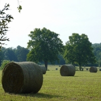 Outstanding Hunting &nbsp; Recreational Ranch For Sale in Northeast AR images 3