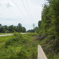 6277 Acres &nbsp; Montgomery County Transition images 5