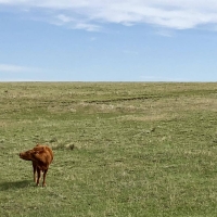 Agate Ranch Parcels images 2