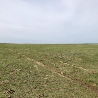 Agate Ranch Parcels images 4