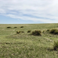 Agate Ranch Parcels images 6