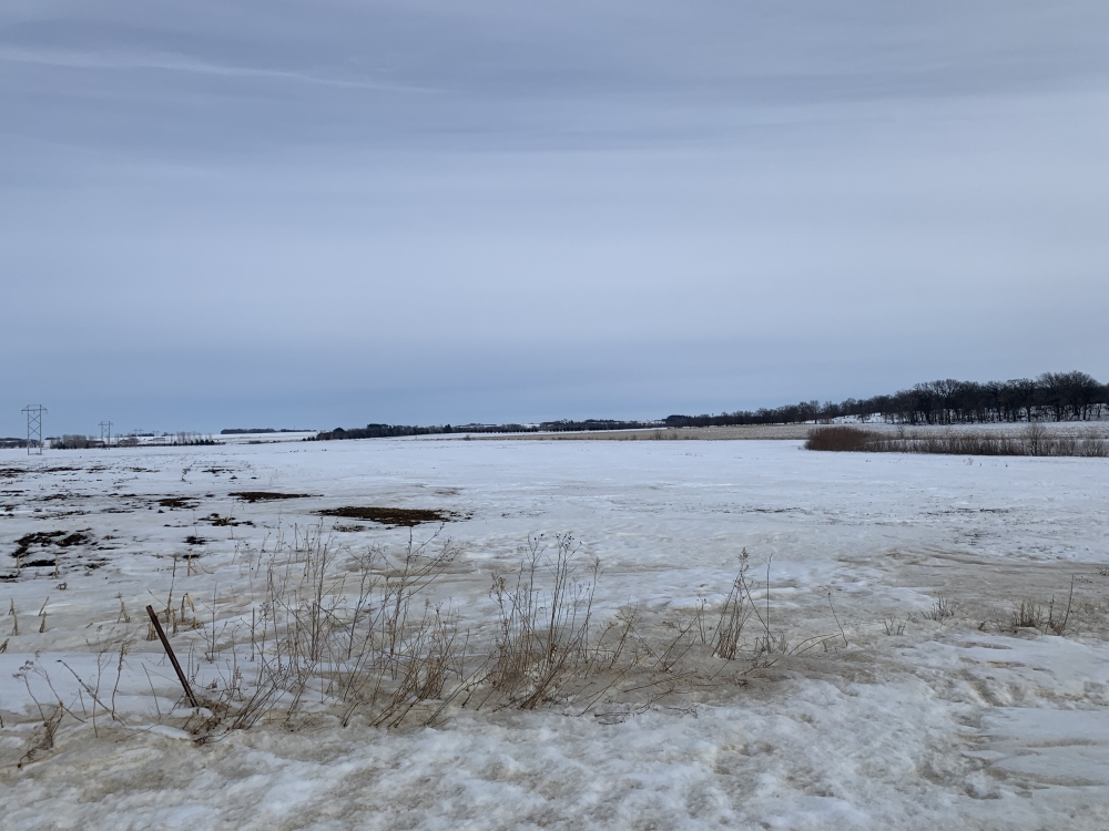 120  - Acres Mower County  MN featured image
