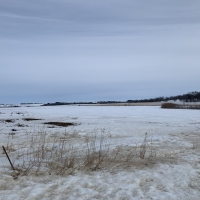 120  - Acres Mower County  MN