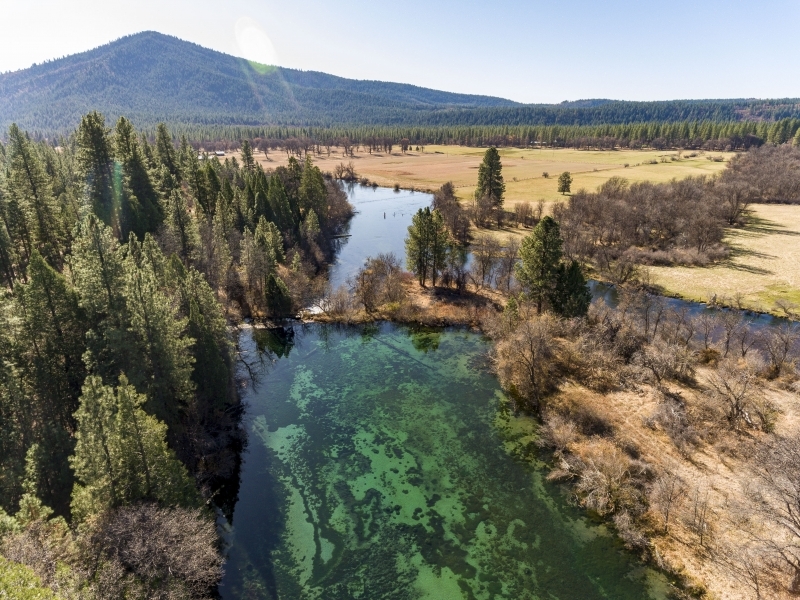 Rainbow Spring Ranch featured image