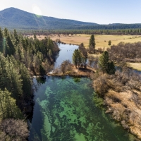 Rainbow Spring Ranch