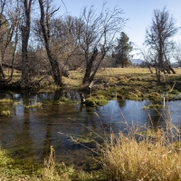 Rainbow Spring Ranch images 3