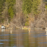 Rainbow Spring Ranch images 4