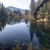 Rainbow Spring Ranch images 6