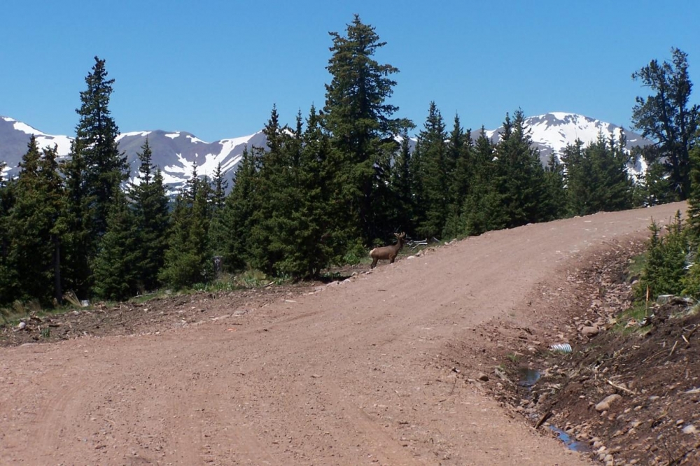 6 Timber Ridge at Cordova Pass featured image