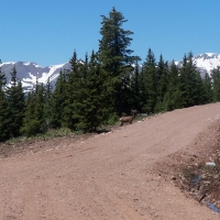 6 Timber Ridge at Cordova Pass