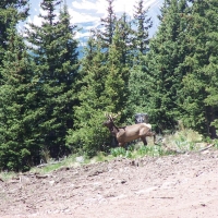 6 Timber Ridge at Cordova Pass images 4