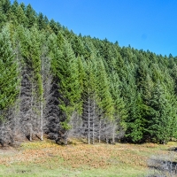 Davis Off Grid Ranch images 5