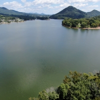 Cherokee Lakefront Prperty For Sale East TN -Mooresburg TN images 4