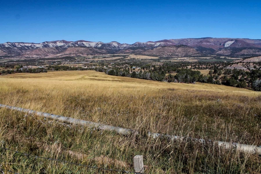 YT Ranch featured image