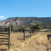 YT Ranch images 4