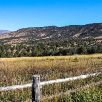 YT Ranch images 6