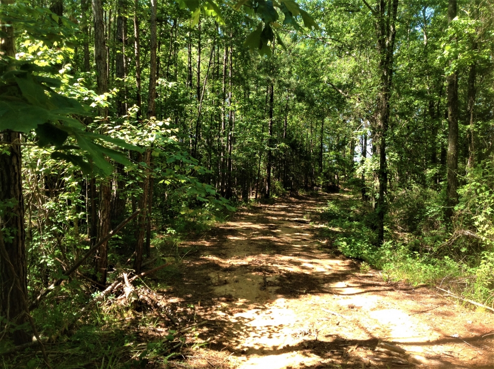 29-059-town-creek-77 featured image