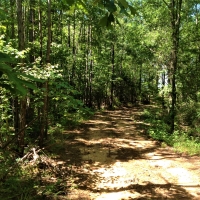 29-059-town-creek-77