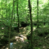 29-059-town-creek-77 images 2