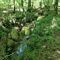 29-059-town-creek-77 images 3