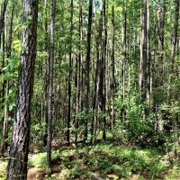 29-059-town-creek-77 images 4