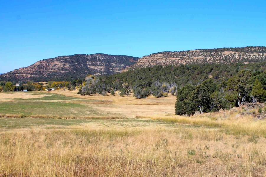 Hawxhurst Ranch featured image