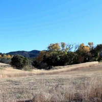 Hawxhurst Ranch images 6