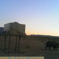 708 Acre Hunting Ranch images 2