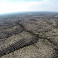 708 Acre Hunting Ranch images 4