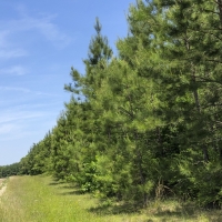 163 Ac CR 2108 images 3