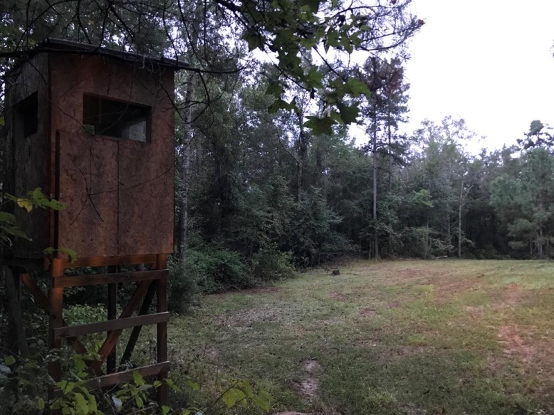 19.34 &nbsp; - Acres featured image