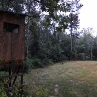 19.34 &nbsp; - Acres