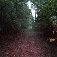 19.34 &nbsp; - Acres images 3
